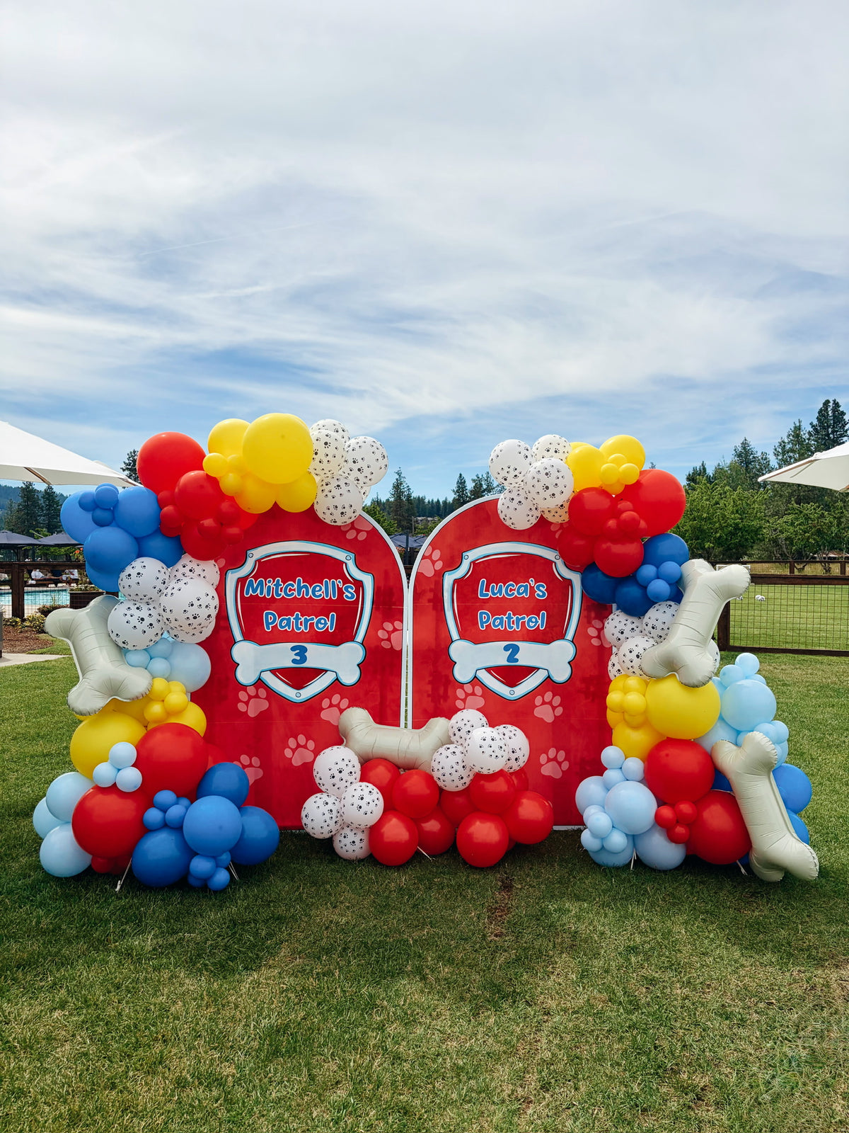 Paw Patrol themed double arch panel backdrop outdoors