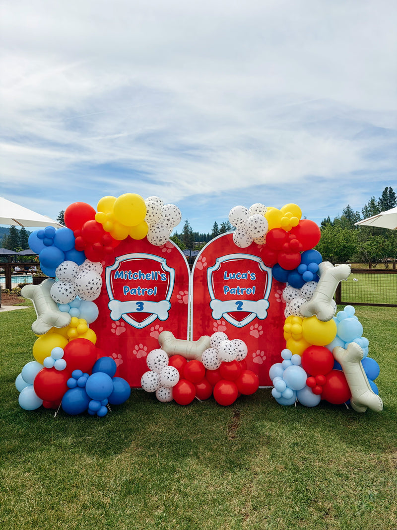 Paw Patrol themed double arch panel backdrop outdoors